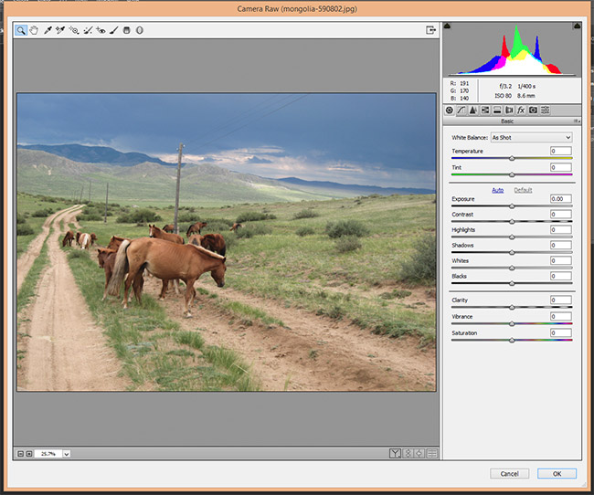How to Use Camera Raw Filters in Photoshop