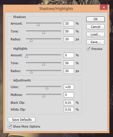 Recovering Shadows and Highlights in Photoshop