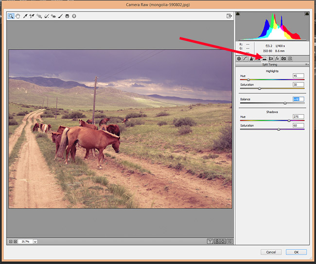 How to Use Camera Raw Filters in Photoshop