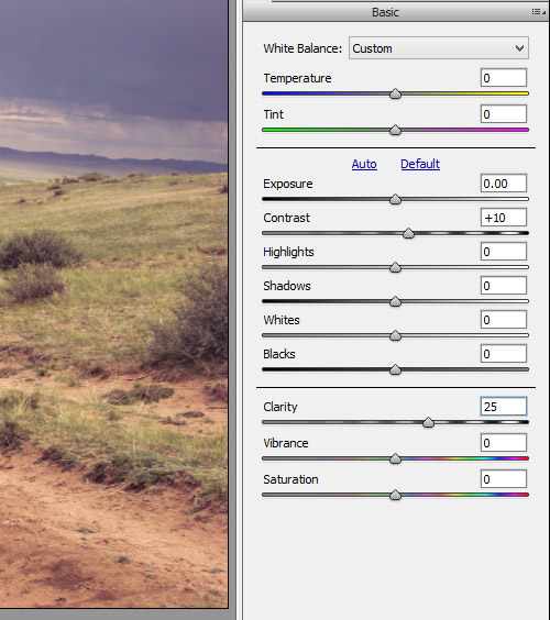 How to Use Camera Raw Filters in Photoshop