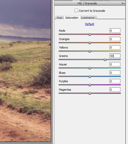 How to Use Camera Raw Filters in Photoshop