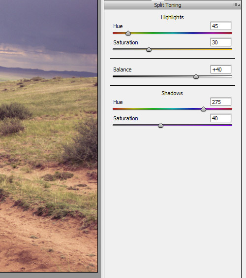 How to Use Camera Raw Filters in Photoshop