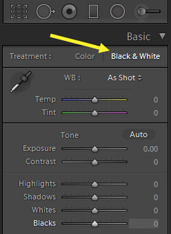 How to Create a High Contrast Black& White Effect in Lightroom