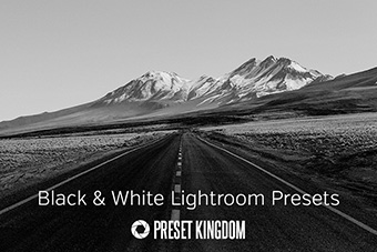 Black & White Lightroom Presets